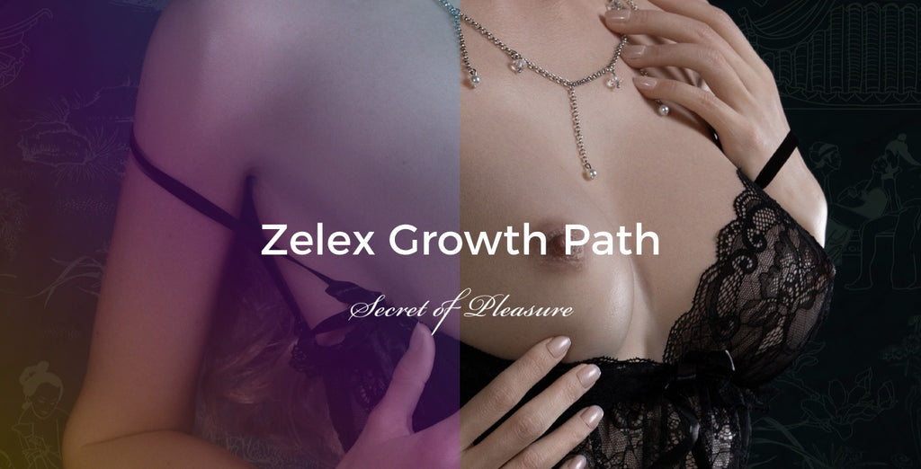 Zelex Growth Path —— Product and Technology Development banner