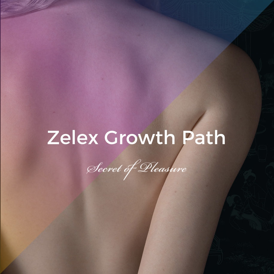 Zelex Growth Path —— Product and Technology Development