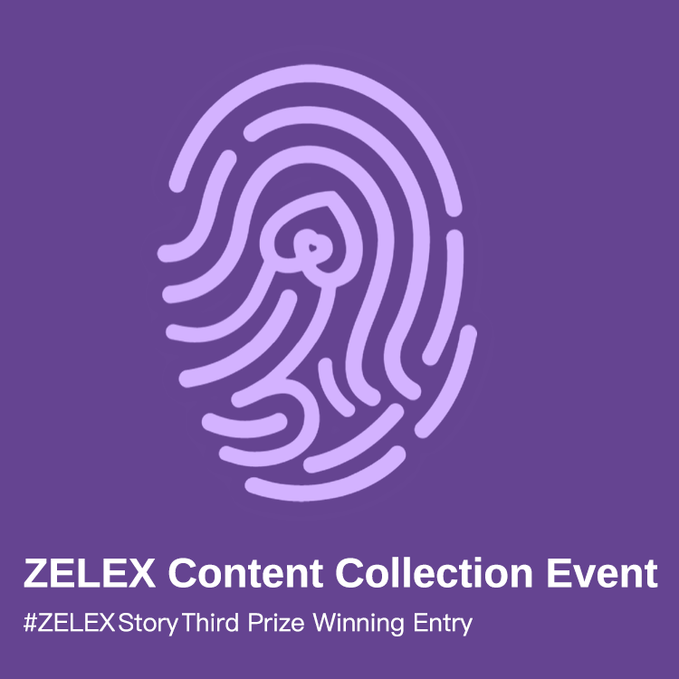 [#ZELEX Story] Tights as Love Language: Celebrating Perfect Legs on My ZELEX Inspiration Companion